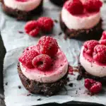 Raspberry Cheesecake Bites with Chocolate Crust