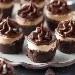 Mini Chocolate Cheesecake Bites Recipe