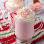 Slow Cooker Candy Cane White Hot Chocolate Recipe