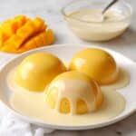 Easy Simple Mango Pudding Recipe