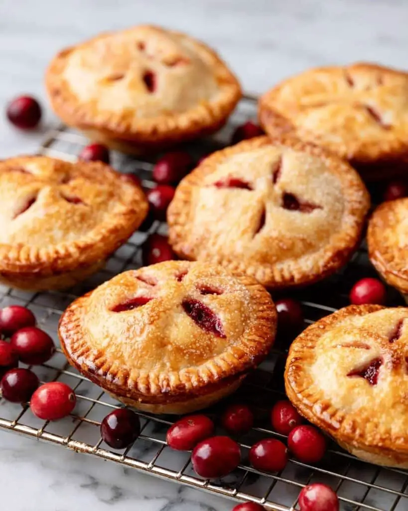 Apple Cranberry Hand Pies Recipe