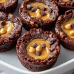 Peanut Butter Brownie Bites Recipe
