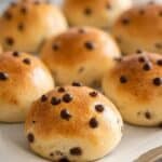 Norwegian Cardamom Chocolate Boller Recipe