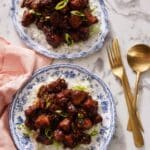 Bourbon Chicken Recipe