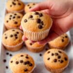 Kodiak Cakes Muffins Recipe