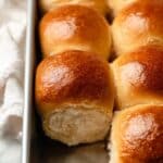 Soft Honey Whole Wheat Dinner Rolls Recipe