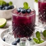 Blueberry Mojito Mocktail Recipe