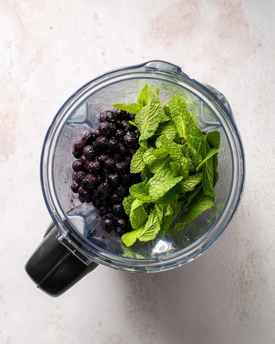 A clear blender jar is shown from above, containing two main layers of ingredients: on the left side, there is a small pile of dark purple berries with a shiny, wet texture, while on the right side, there is a bunch of bright green, fresh mint leaves with a slightly crinkled surface. The blender handle is black and positioned at the bottom left of the image. The blender sits on a white marbled surface with soft gray veining and light shadow details, giving a clean and simple look. photo taken with an iphone --ar 4:5 --v 7