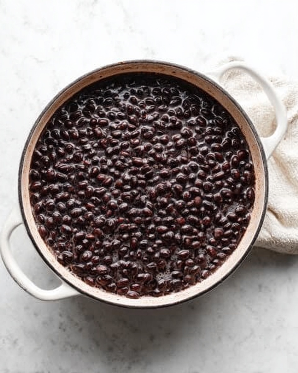 A white pot filled with a thick layer of cooked black beans that cover the entire surface, with a shiny, slightly wet texture showing some beans glistening under the light. The pot is placed on a white marbled surface, and the beans appear soft and well-cooked, creating a dense and rich dark purple-black layer inside the pot. Photo taken with an iphone --ar 4:5 --v 7