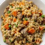 Homemade Stew Beef Dog Food with Rice and Vegetables Recipe