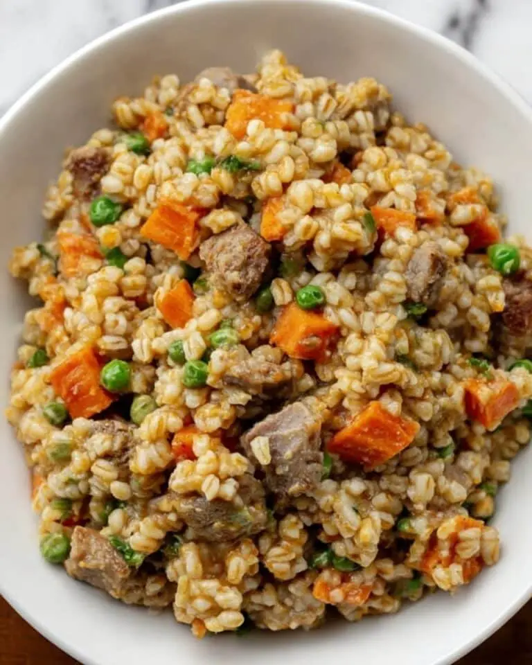 Homemade Stew Beef Dog Food with Rice and Vegetables Recipe