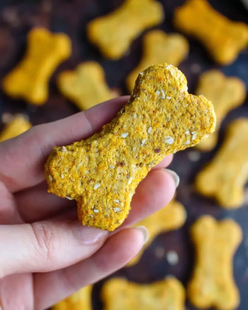 Sweet Potato, Cranberry, and Oat Dog Treats Recipe
