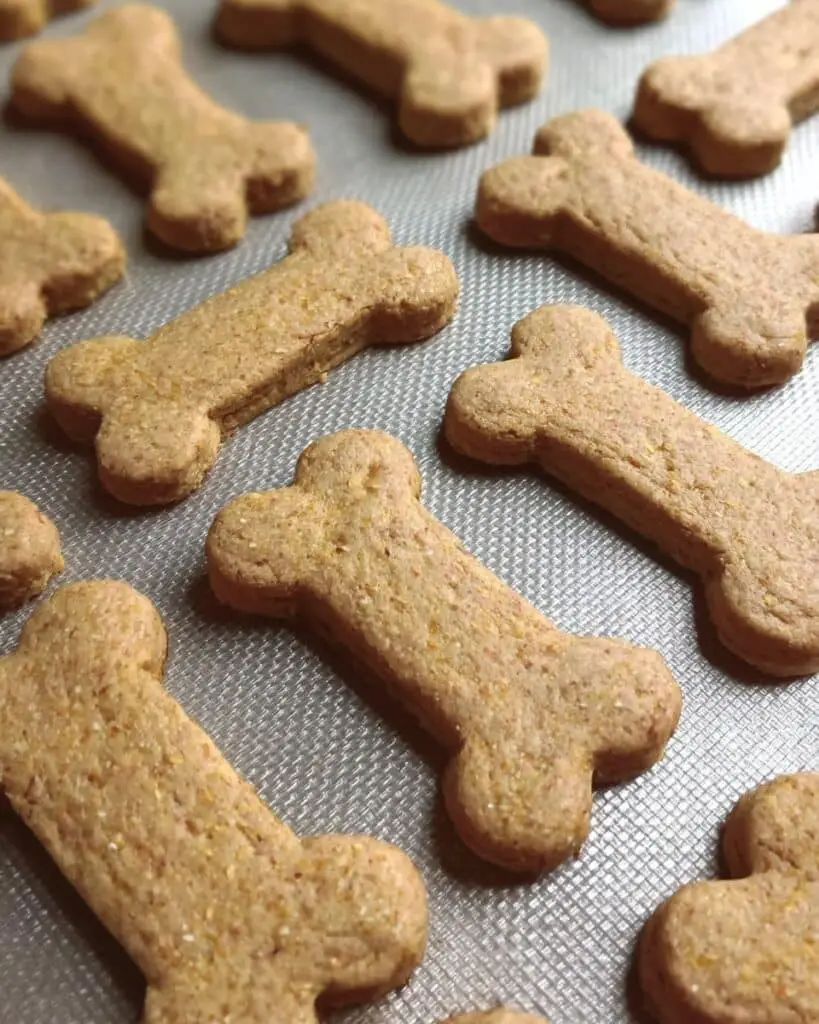Peanut Butter Pumpkin Dog Treats Recipe