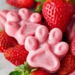Frozen Strawberry Dog Treats Recipe