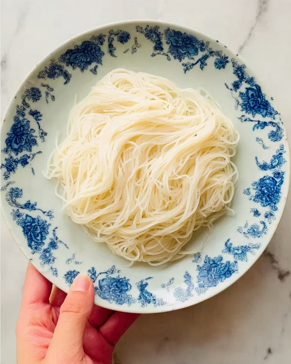 A white plate with blue floral patterns holds a neat pile of thin white noodles that look soft and smooth, sitting in the center of the plate. A woman's hand is holding the edge of the plate, and the background is a white marbled surface. photo taken with an iphone --ar 4:5 --v 7