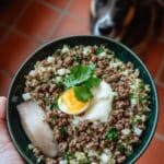 Lamb Quinoa Dog Dinner Recipe