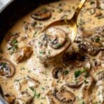 Creamy Mushroom Sauce Recipe
