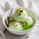 Avocado Ice Cream Recipe