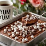 Chocolate Marshmallow Rocky Road Ice Cream Recipe