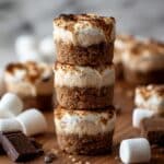 Yummy S’mores Bites Recipe